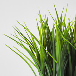 FEJKA planta artificial en maceta