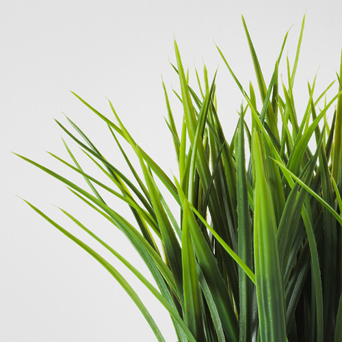 FEJKA, planta artificial en maceta. 5 de 6 abrir diálogo