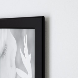 FISKBO frame