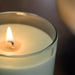 LOTSFÅGEL scented candle in glass