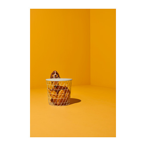 Cesta blanca sobre fondo amarillo; el basset hound se asoma por encima; Diseño simple y aireado.