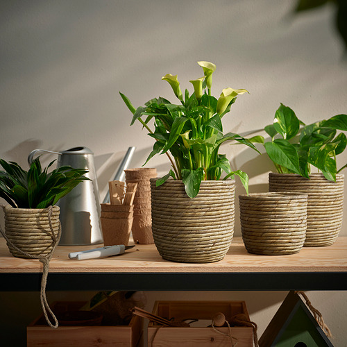 SANDÖDLA, plant pot. 3 of 5 open dialog