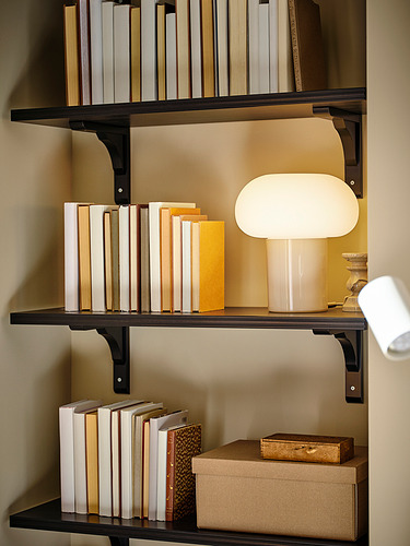 Estanterías de madera teñida oscura con libros de varios colores y una lámpara blanca.