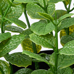 FEJKA planta artificial en maceta