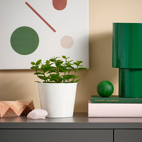 Planta blanca de FEJKA en estantería con decoración, libros y lámpara.