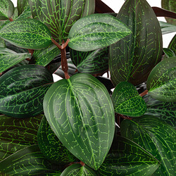 FEJKA planta artificial en maceta