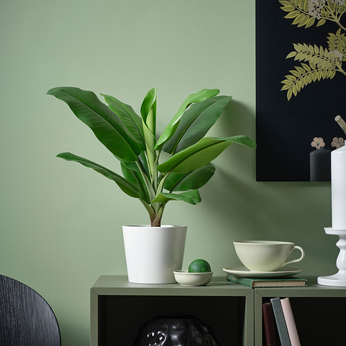 Pequeña planta blanca en maceta FEJKA en un estante con taza y libros.