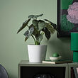 Ver imagen FEJKA 2 de 4
