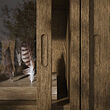 Ver imagen TONSTAD 4 de 5