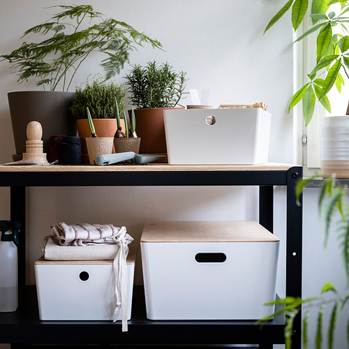 Estanterías con plantas, almacenaje KUGGIS, plástico blanco y bambú, organizadas.