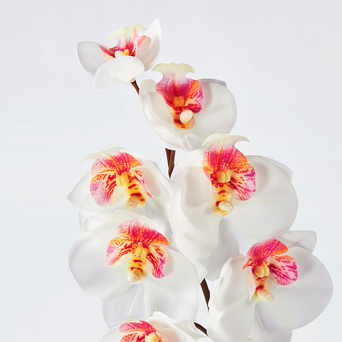 Hermosa imagen de orquídea artificial; pétalos de color blanco vivo, centros rojos; calidad realista.