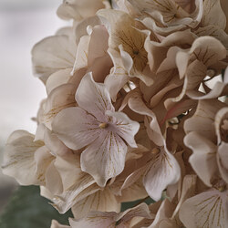 SMYCKA artificial flower