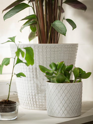 Tres macetas de textura blanca muestran vegetación; uno grande, uno mediano, uno pequeño.