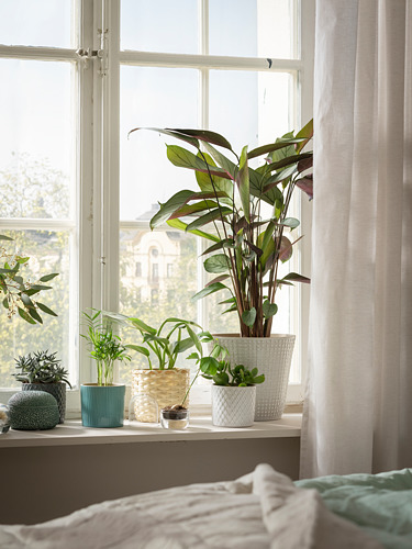 Habitación moderna con grandes ventanales y plantas de interior.