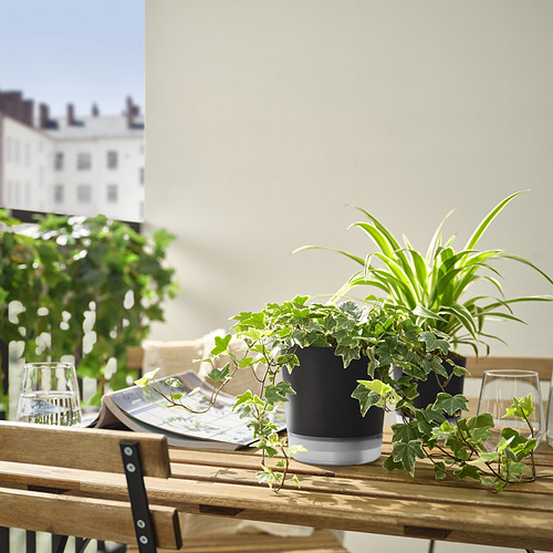 Dos plantas en macetas con vasos sobre una mesa de patio, cerca de un edificio.