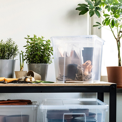 Un estante negro con una caja transparente SAMLA que almacena suministros de jardinería, junto a plantas en macetas.