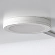 See image MITTLED 7 of 7