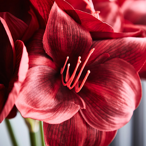 VINTERFINT, artificial flower. 2 of 3 open dialog