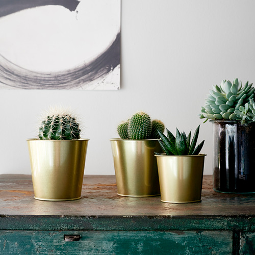 DAIDAI, plant pot. 2 of 8 open dialog