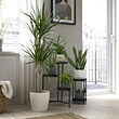 See image PERSILLADE 4 of 4