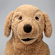See image GOSIG GOLDEN 6 of 6