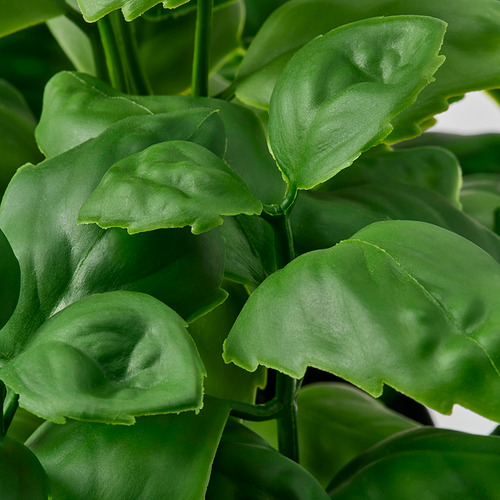 FEJKA, planta artificial en maceta. 3 de 3 abrir diálogo
