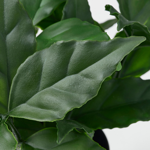FEJKA, planta artificial en maceta. 3 de 3 abrir diálogo