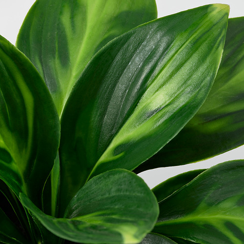 FEJKA, artificial potted plant. 3 of 3 open dialog