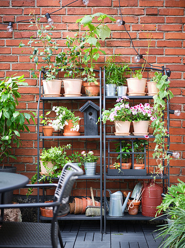 Estante de plantas LÄCKÖ negro contra la pared de ladrillo rojo, que sostiene varias hierbas y flores en macetas.
