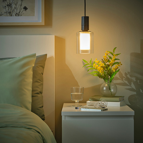 SUNNEBY / MOLNART, pendant lamp with LED bulb E26 150 lm 2200K. 2 of 3 open dialog