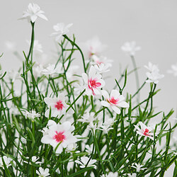 FEJKA artificial potted plant