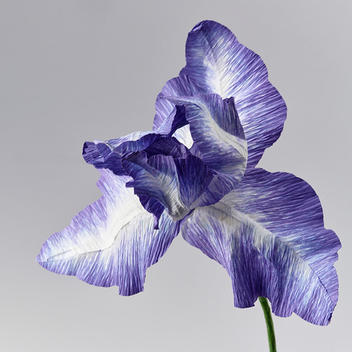 GULDSPETT, flor artificial. 3 de 3 abrir diálogo