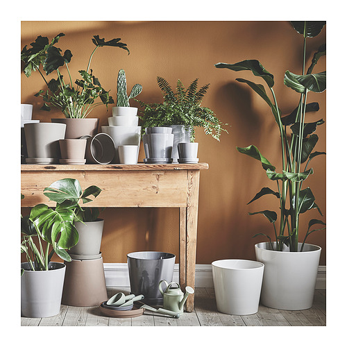 Moderno expositor de plantas de interior con múltiples macetas de sojabona en gris y blanco, estantería de madera, varias plantas contra la pared marrón.