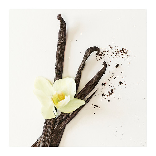 LOTSFÅGEL, vela pequeña aromática. 4 de 4 abrir diálogo