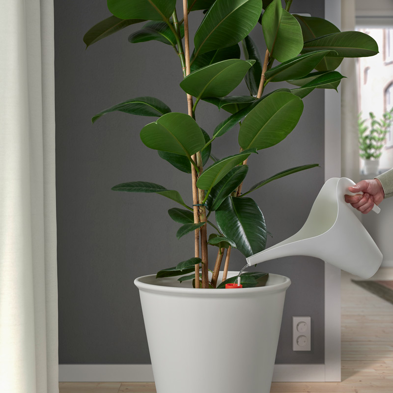 Watering can, white
