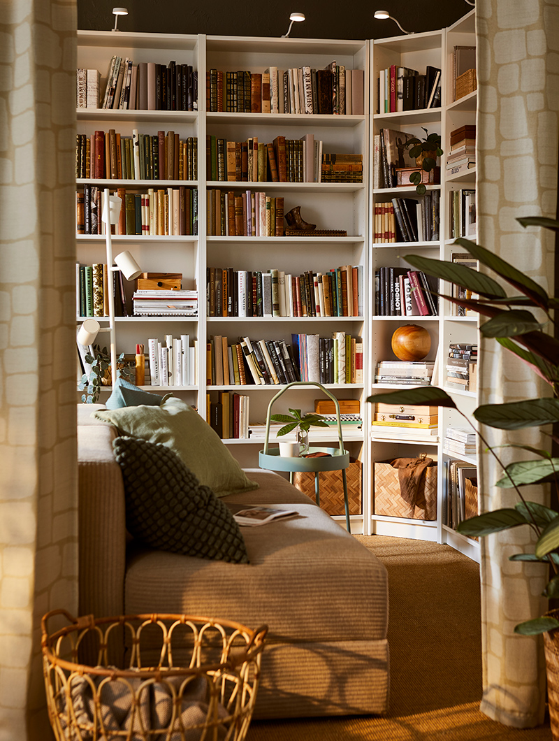 Bookcases on the hall
