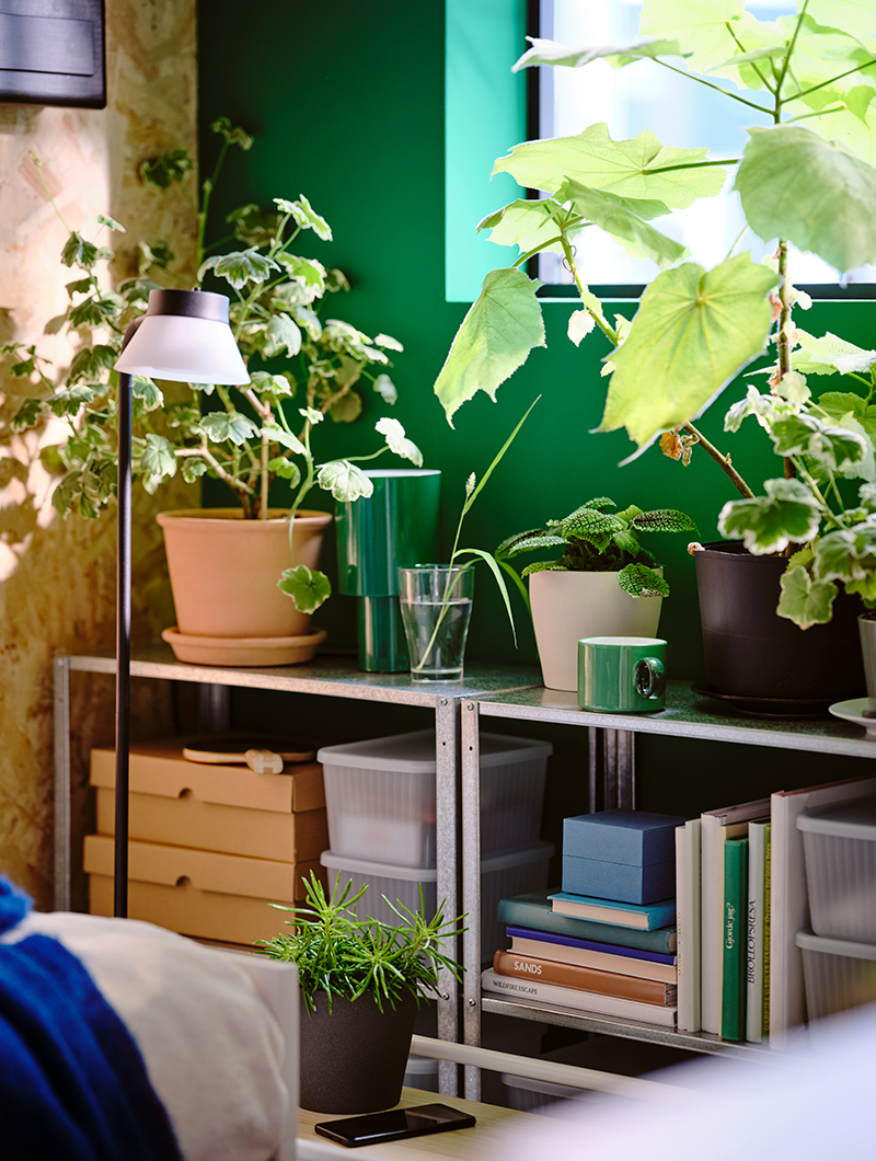  Several MUSKOTBLOMMA, PERSILLADE, and CITRONMELISS plant pots next to a window