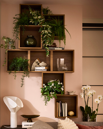 Asymmetrical wooden shelves on a pink wall, decorated with hanging plants, orchids, and decorative objects. Ideas to organize and beautify your living room with nature.