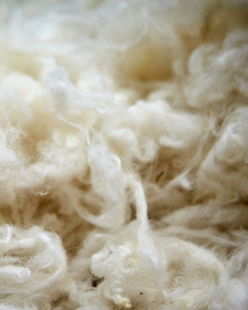 Natural wool fibers with a soft texture, highlighting warmth, comfort and quality craftsmanship.