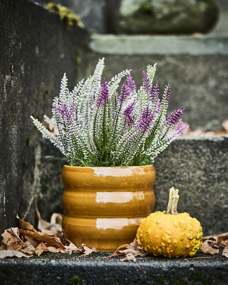 A lilac FEJKA artificial potted plant stands on an outdoor staircase next to a small yellow pumpkin and dried leaves.