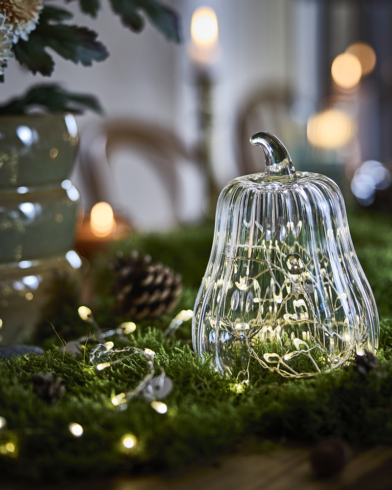 A HÖSTAGILLE pumpkin-shaped glass dome has a light chain in it, and is placed on moss on a woodlandthemed table.