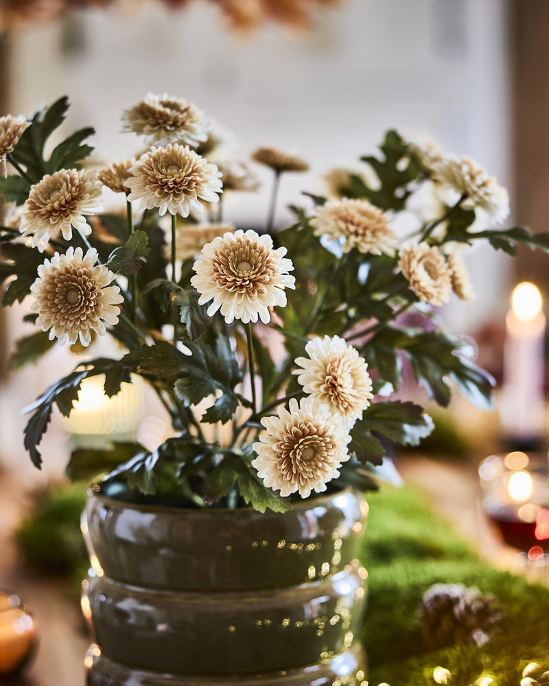 A FEJKA Chrysanthemum artificial potted plant is in a HASSELBUKETT pot on a dining table with moss and lit candles.