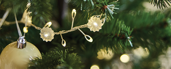 Flower-shaped LED string lights intertwined in Christmas tree branches.