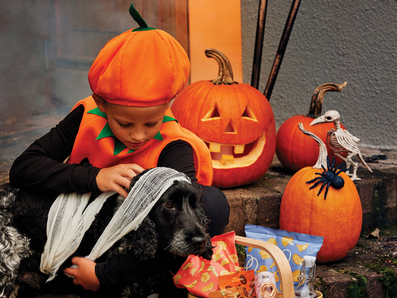Child in a pumpkin costume petting their dog wrapped like a mummy on Halloween.